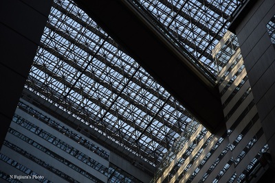 D75_1173b.jpg