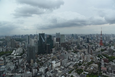 D75_2672b.jpg