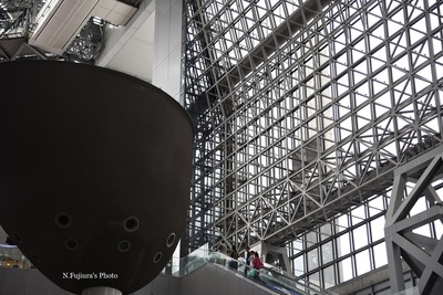 D75_4198b.jpg