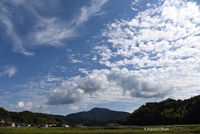 D75_8621b.jpg